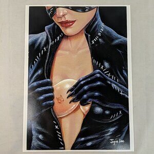 Joyce Lee Art Print Artwork Catwoman Cat Woman Bra Breast Inserts 15.5x11 in DC